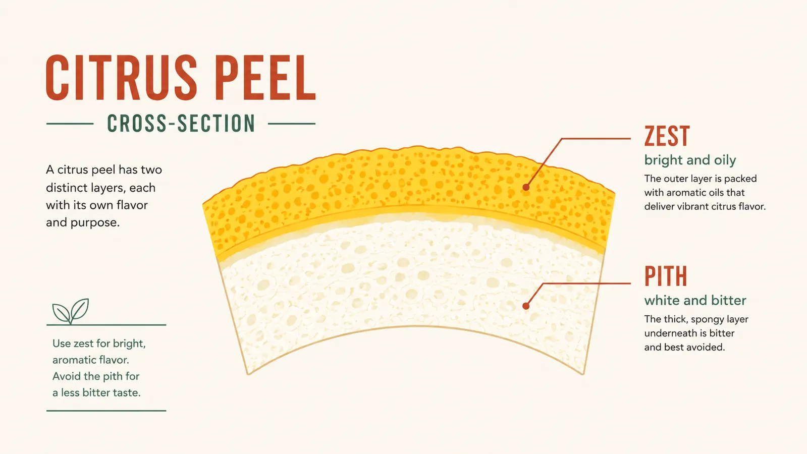 Diagram showing a cross-section of citrus peel labeled to show the thin colored zest layer versus the thicker white bitter pith layer underneath